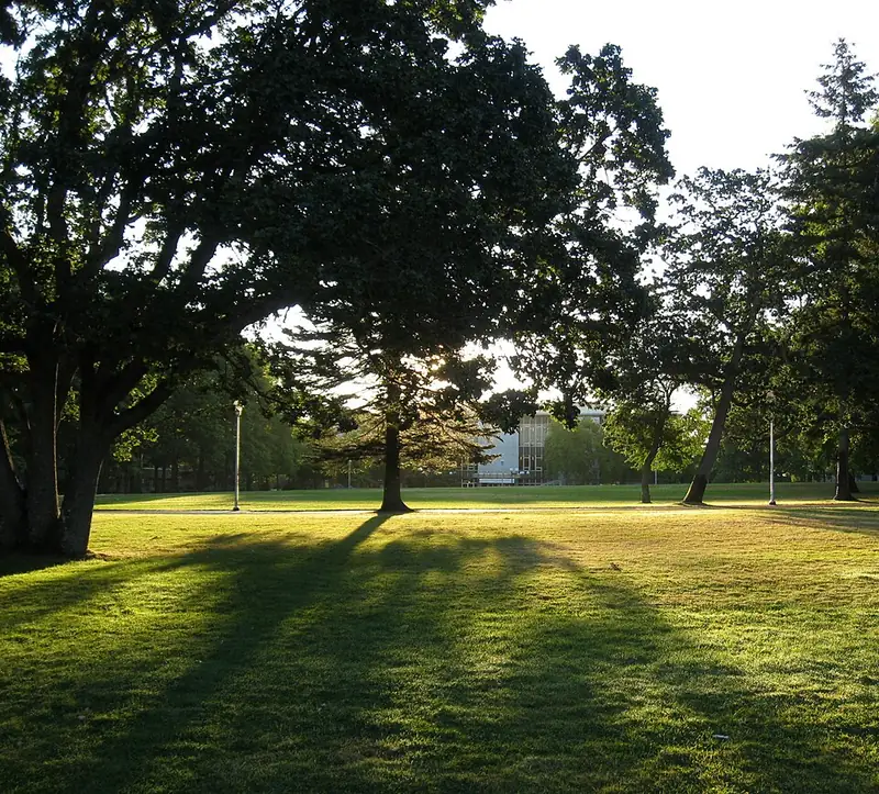 A university campus.